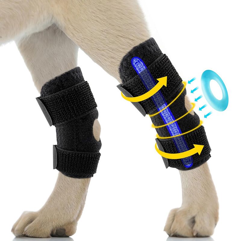 FurryFusion Protège - pattes pour chien après opération