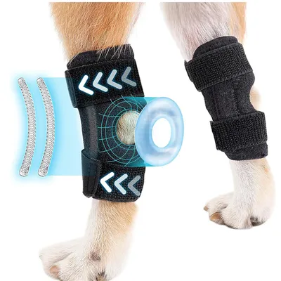 FurryFusion Protège - pattes pour chien après opération