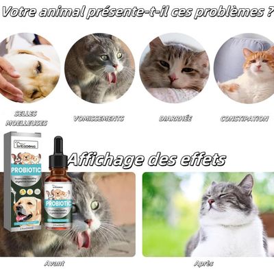 FurryFusion Lotion Anti - Acariens pour chien