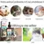 FurryFusion Lotion Anti - Acariens pour chien
