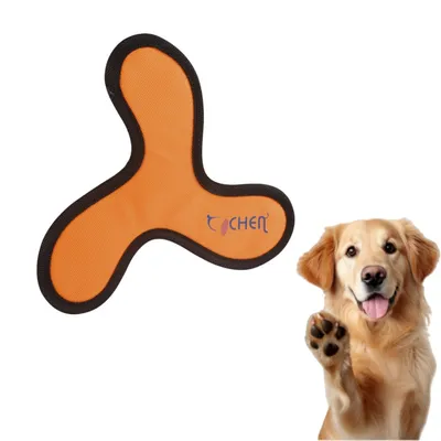 FurryFusion Frisbee pour chien