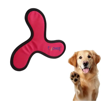 FurryFusion Frisbee pour chien