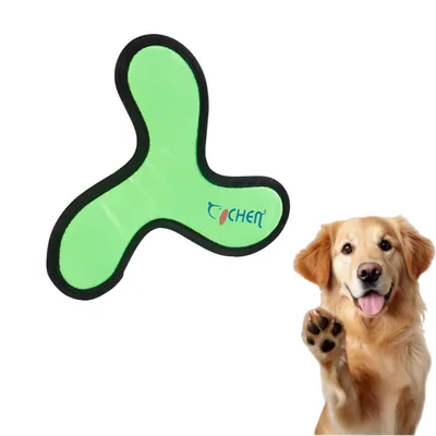FurryFusion Frisbee pour chien