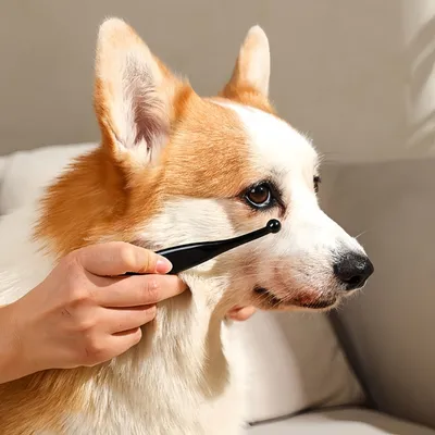 FurryFusion Brosse de toilettage pour chien et chat