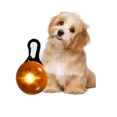 FurryFusion Pendentif lumineux pour chien et chat