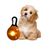 FurryFusion Pendentif lumineux pour chien et chat