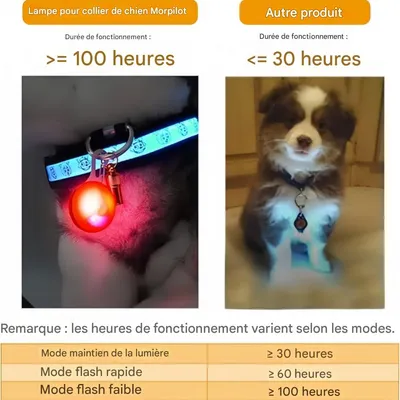 FurryFusion Pendentif lumineux pour chien et chat