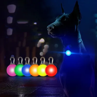 FurryFusion Pendentif lumineux pour chien et chat