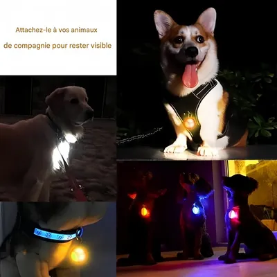 FurryFusion Pendentif lumineux pour chien et chat