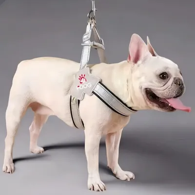 FurryFusion Harnachement de traction pour chien