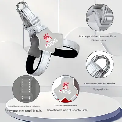 FurryFusion Harnachement de traction pour chien