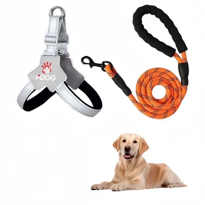 FurryFusion Harnachement de traction pour chien