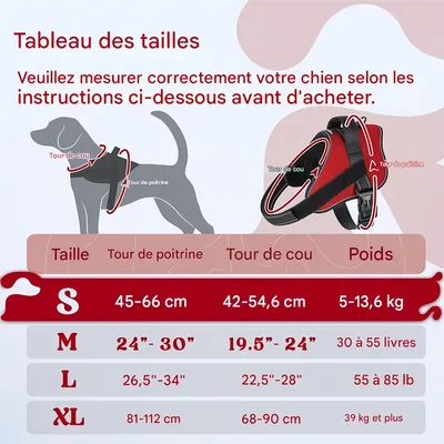 FurryFusion Harnais pour chien anti - traction réfléchissant