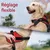 FurryFusion Harnais pour chien anti - traction réfléchissant