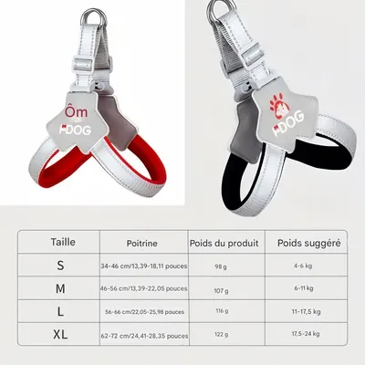 FurryFusion Harnachement de traction pour chien