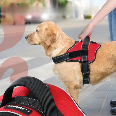 FurryFusion Harnais pour chien anti - traction réfléchissant