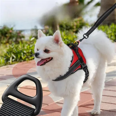 FurryFusion Harnais pour chien anti - traction réfléchissant