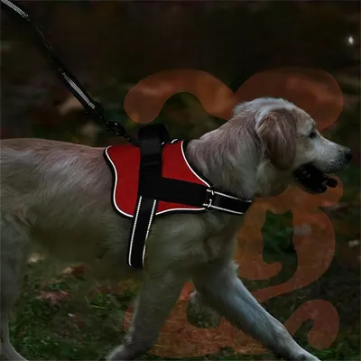 FurryFusion Harnais pour chien anti - traction réfléchissant