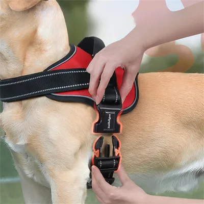 FurryFusion Harnais pour chien anti - traction réfléchissant