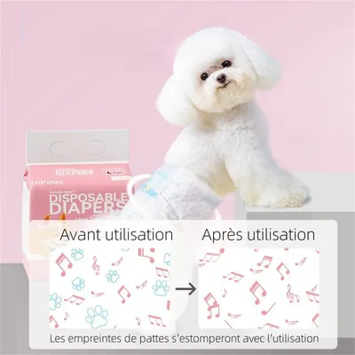 FurryFusion - Couches jetables pour chiens (10 pièces par paquet)