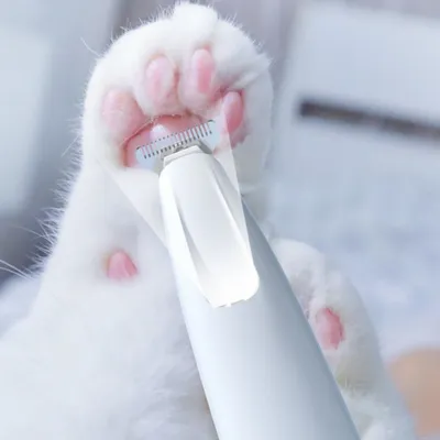 FurryFusion Appareil de rasage des poils des pattes pour chien et chat