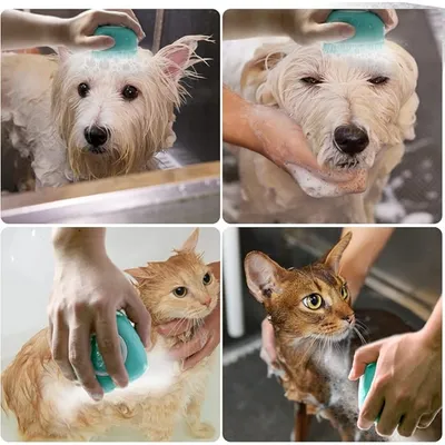 FurryFusion Appareil de rasage des poils des pattes pour chien et chat