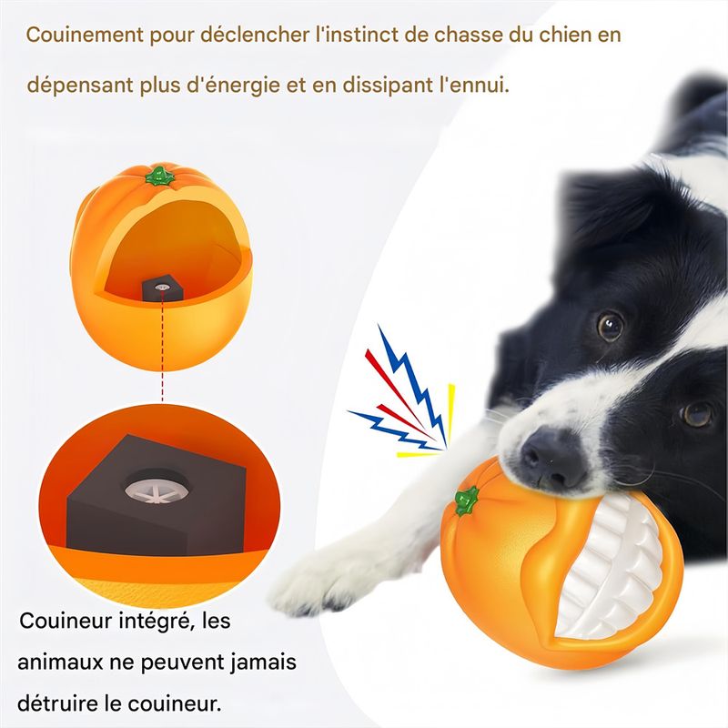 FurryFusion - Jouet Couineur à Mâcher
