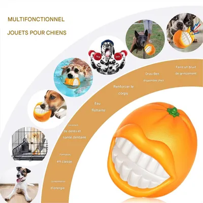 FurryFusion - Jouet Couineur à Mâcher