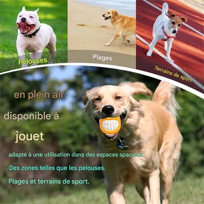 FurryFusion - Jouet Couineur à Mâcher