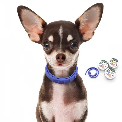 FurryFusion Collier antiparasitaire FurryFusion Collier antiparasitaire