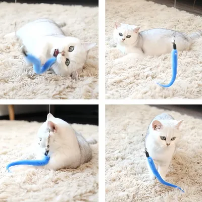 FurryFusion Pièces de rechange pour bâton de jeu pour chat