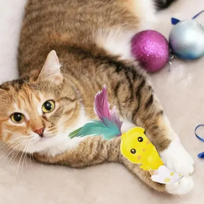 FurryFusion Jouet en forme de plume de chat en forme de poussin coloré