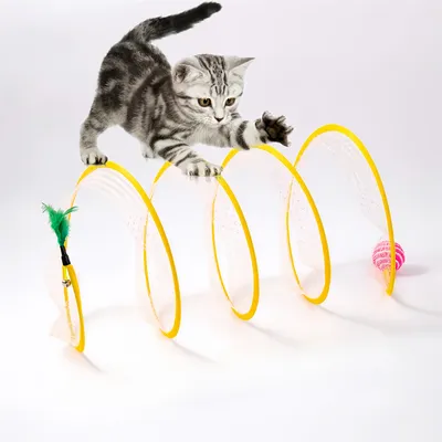 FurryFusion Tunnel à chat dépliable