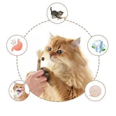 FurryFusion Bâtonnets pour chat, dentifrice et jouet
