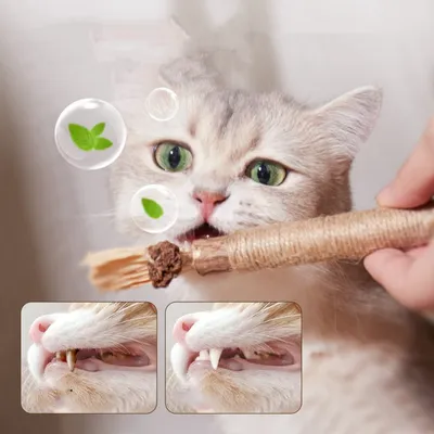 FurryFusion Bâtonnets pour chat, dentifrice et jouet