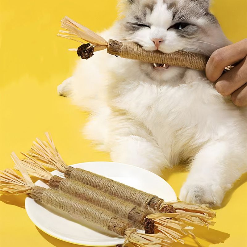 FurryFusion Bâtonnets pour chat, dentifrice et jouet