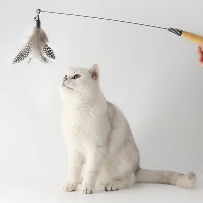 FurryFusion Bâton amusant pour chat