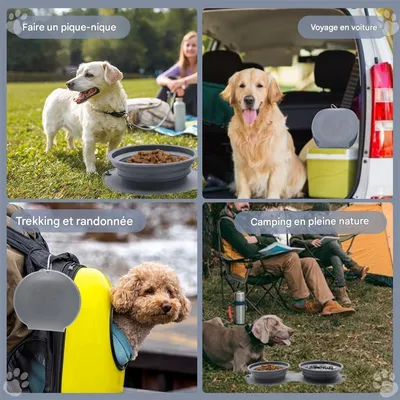FurryFusion Gamelle rétractable en silicone pour chien et chat