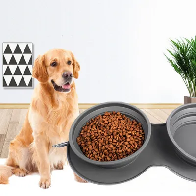 FurryFusion Gamelle rétractable en silicone pour chien et chat
