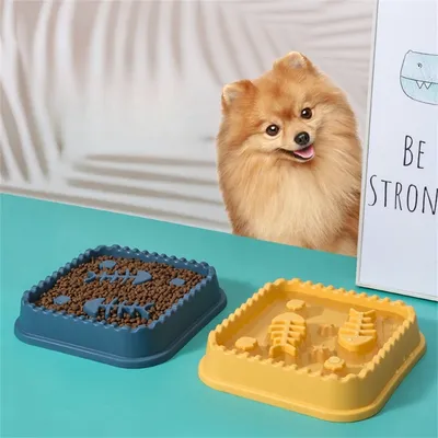 FurryFusion Bol de nourriture lente pour chien et chat