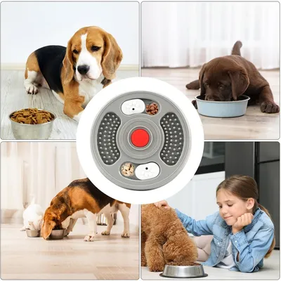 FurryFusion Bol de mangeoire lent pour chien