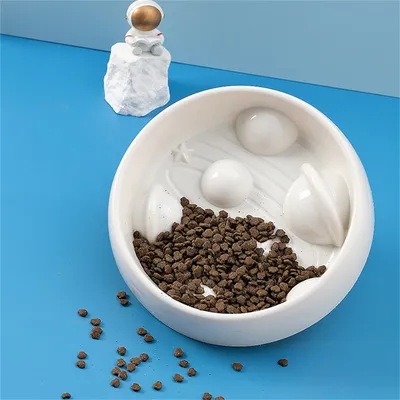 FurryFusion - Gamelle pour Chien en Forme de Planète