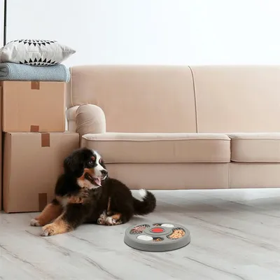 FurryFusion Bol de mangeoire lent pour chien