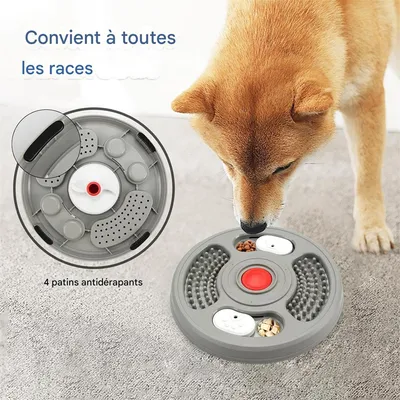 FurryFusion Bol de mangeoire lent pour chien