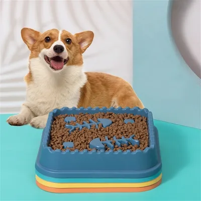 FurryFusion Bol de nourriture lente pour chien et chat