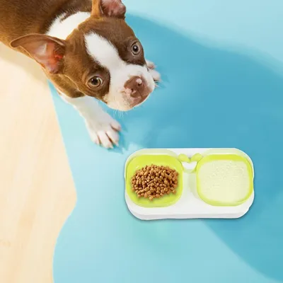 FurryFusion Ensemble de bols d'alimentation pour chien et chat