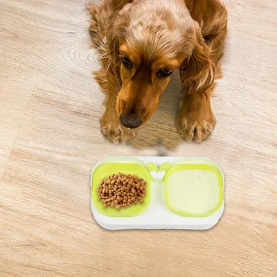 FurryFusion Ensemble de bols d'alimentation pour chien et chat