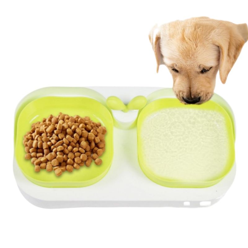 FurryFusion Ensemble de bols d'alimentation pour chien et chat
