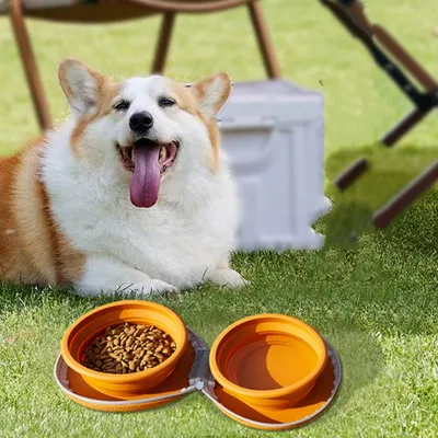 FurryFusion Comedero plegable y extensible para perros, ideal para paseos