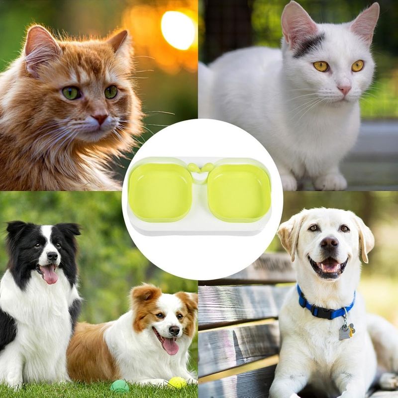 FurryFusion Ensemble de bols d'alimentation pour chien et chat
